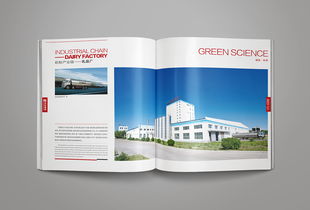 凝練品牌精髓，彰顯卓越風(fēng)范——洛娃集團(tuán)畫冊整合設(shè)計(jì)與企業(yè)形象策劃